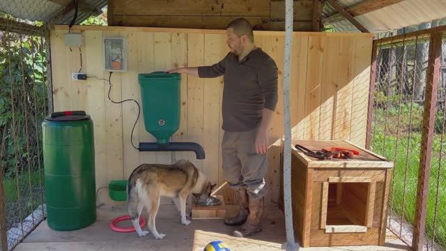 Автоматическая кормушка для крупных собак смотреть онлайн