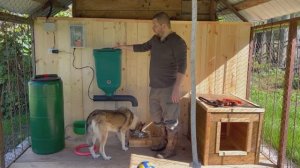 Автоматическая кормушка для крупных собак