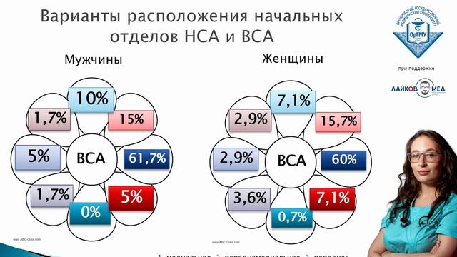 Вариантная эхоанатомия сонных артерий