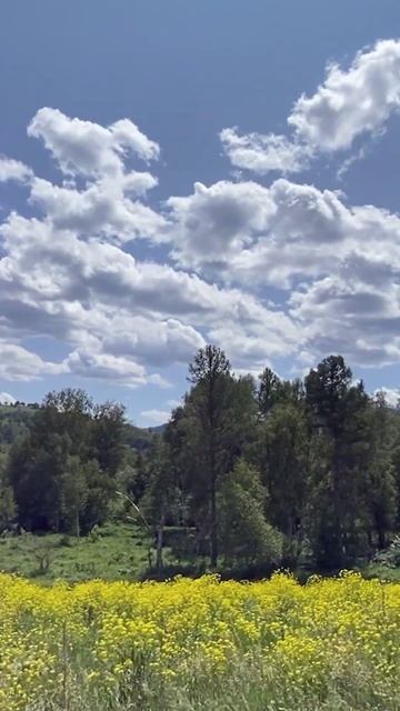 Институт истории и международных отношений это вот так ✨ смотреть онлайн