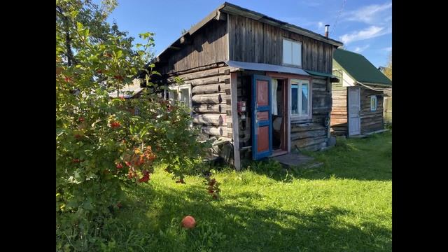 9753917 смотреть онлайн