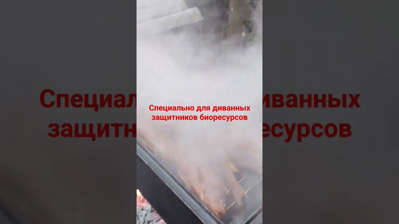 Копчение Ахтубинской рыбы #озерки смотреть онлайн