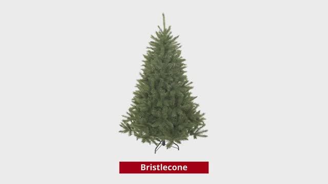 Triumph Tree Bristlecone (Hook on) - пихта Прелестная смотреть онлайн