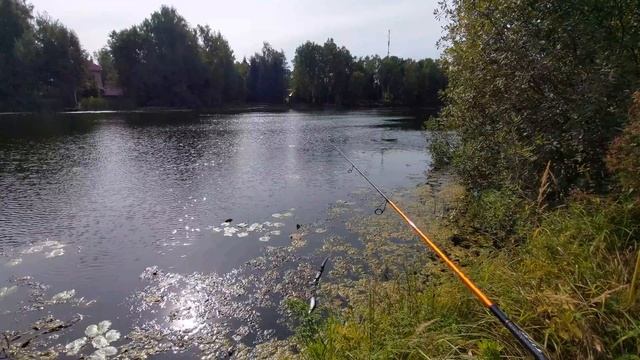 Подмосковная речка, Тест спиннинга Graphiteleader Tiro Nuovo GONTS-762L 1-12 грамм смотреть онлайн