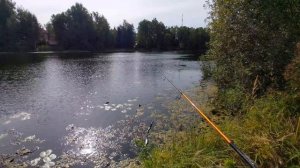 Подмосковная речка, Тест спиннинга Graphiteleader Tiro Nuovo GONTS-762L 1-12 грамм