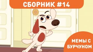Мемы с Бурчуном 🐶 | Самые смешные моменты из мультфильма Котёнок Кнопа.