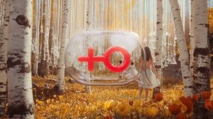 Осень на Телеканале Ю