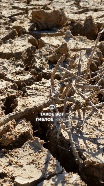 Опасные места: куда лучше не ходить смотреть онлайн