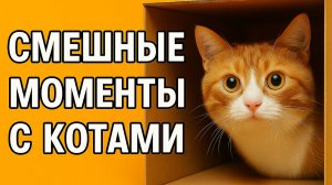 Смех до слёз: лучшие приколы №188