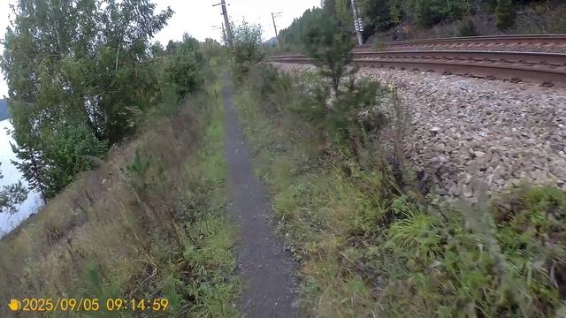 Велопрогулка Димасика флюс 07 09 25