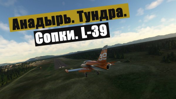 MFS2020. На Альбатросе. Aero L-39