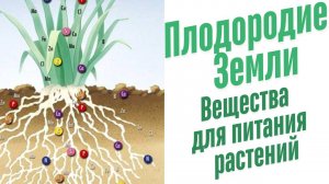 Вещества для питания растений.