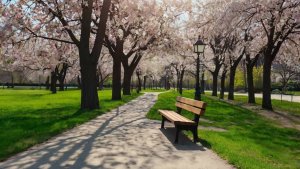 Сергей Юмахов - Твоя бутылка вина