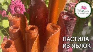КАК ПРИГОТОВИТЬ ЯБЛОЧНУЮ ПАСТИЛУ В ДОМАШНИХ УСЛОВИЯХ