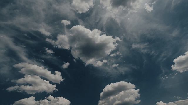 Бойцы 87-го полка осваивают стрельбу с техники и борьбу с БПЛА смотреть онлайн