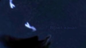 Эдит на конкурс