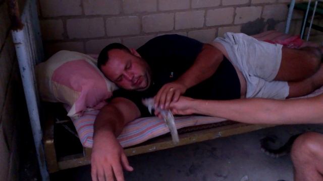 На сазана