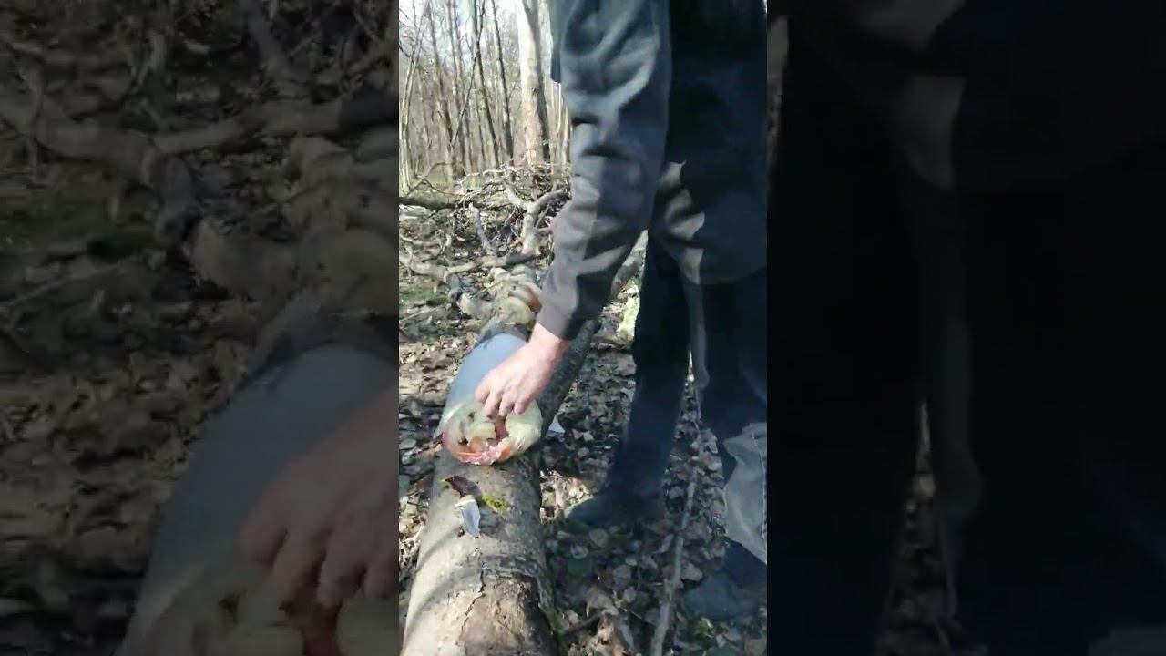 отдыхаем на 23г на вербное вокресение смотреть онлайн