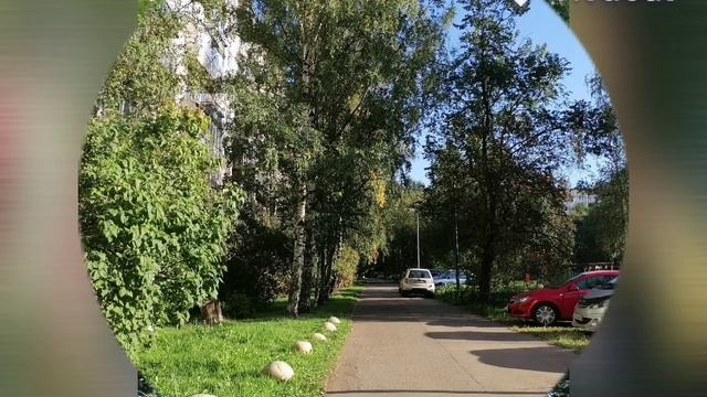 Прогулки в сентябре_HD.mp4