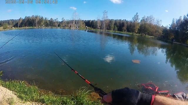 Рыбалка VPOLE 23.08.25 и 06.09.25
