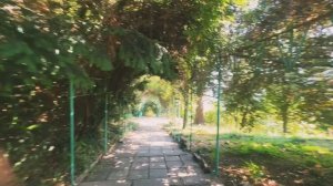 Дорога в никуда) прогулка по территории дворца. Крым