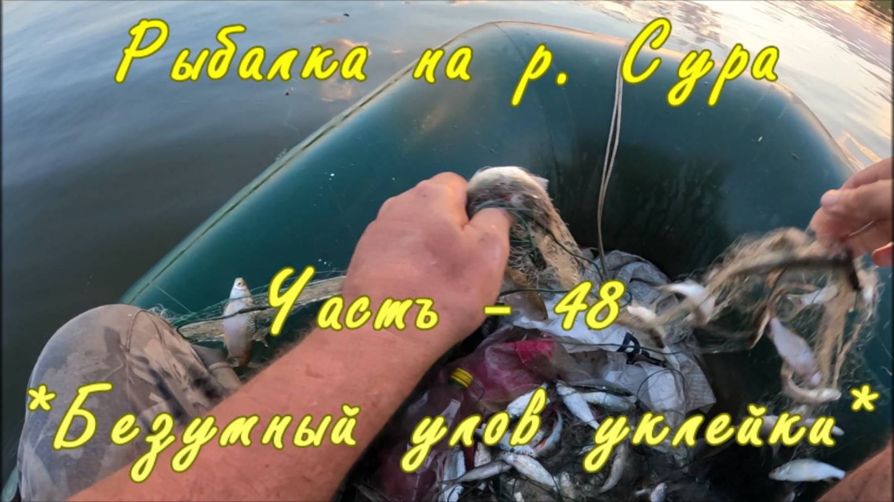 Рыбалка на р. Сура. Часть - 48. "Безумный улов уклейки". смотреть онлайн