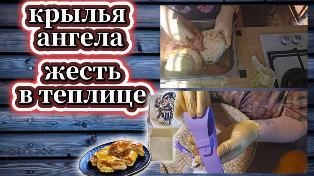 141-25! VLOG/КАПУСТНЫЕ СТЕЙКИ/ПОКУПКИ ДЛЯ СЕБЯ И КУХНИ/КРЫЛЬЯ АНГЕЛА/ПРОБЛЕМА В ТЕПЛИЦЕ