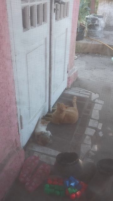 Попытка вскрыть дом провалилась :) смотреть онлайн