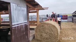 кормушки для овец