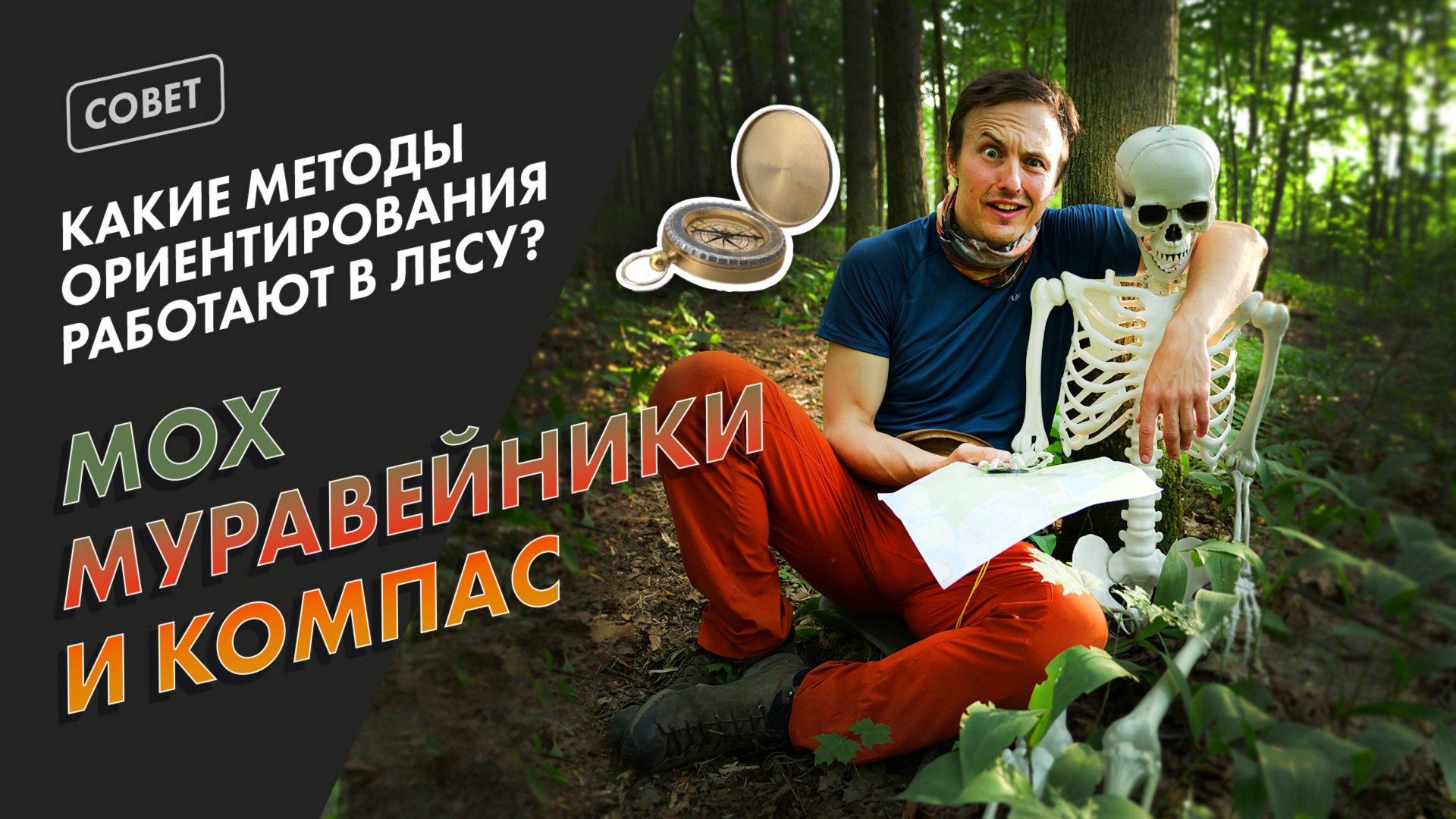 ОРИЕНТИРОВАНИЕ В ЛЕСУ БЕЗ GPS: мох, муравейники, карта и компас смотреть онлайн