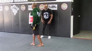 Бокс Основы стиля пикабу от Майка Тайсона