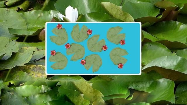 8класс_Задача о водяной лилии смотреть онлайн
