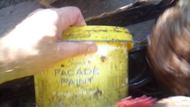 Кормление курочек 8 сентября 2025