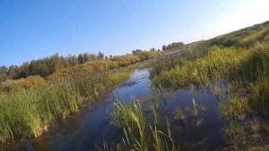 Китайский малас работает по щуки. Ловля щуки на спиннинг 2025