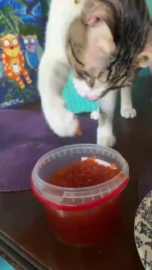 Жизнь Удалась !!! :-)