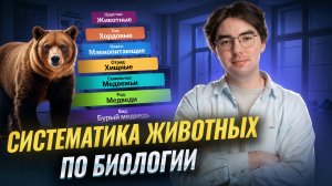 Систематика животных: подробный разбор I ВПР по биологии I Умскул