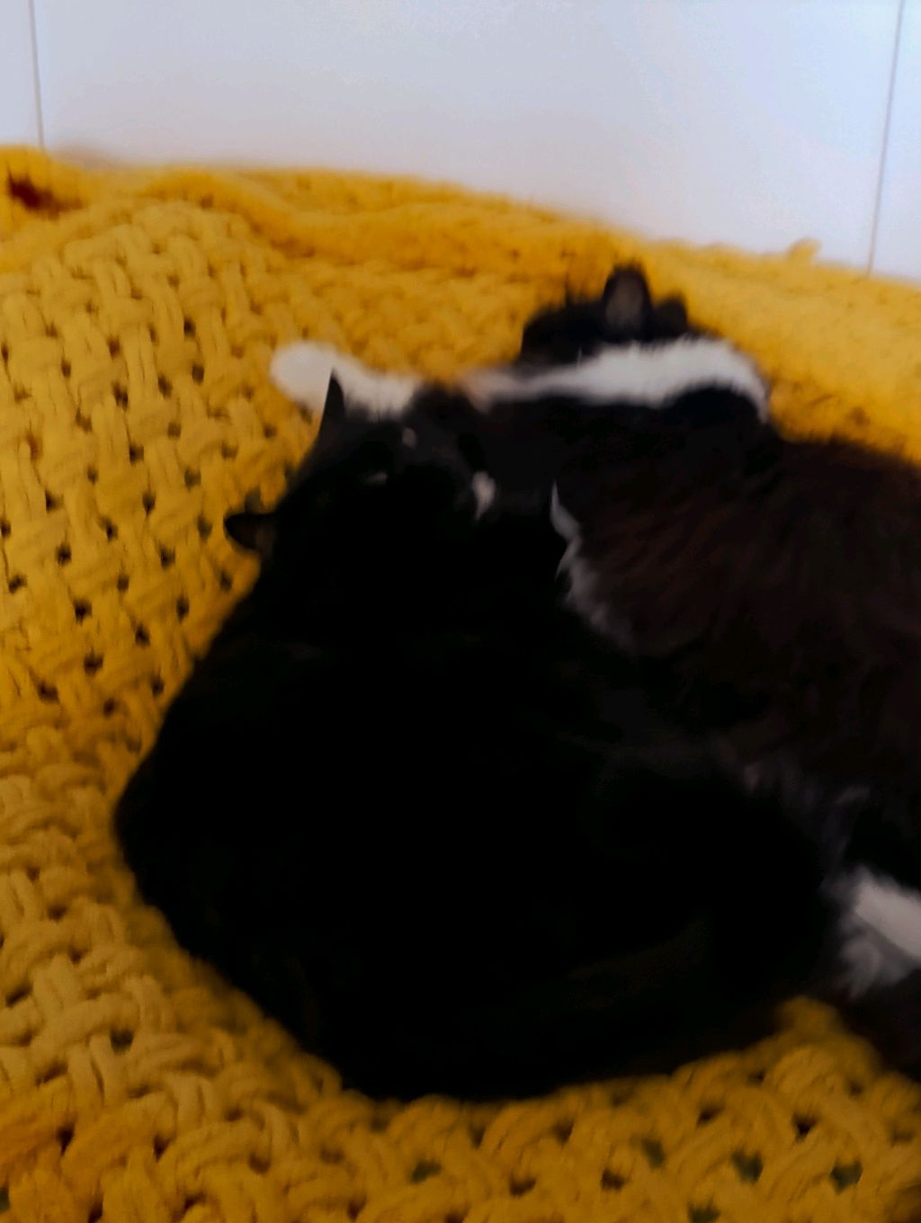 маска смотреть онлайн