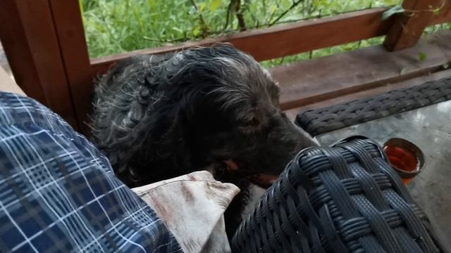 СОЧИ. ГОРНОЕ ЛОО ВЕЧЕР 08.09.2025 смотреть онлайн