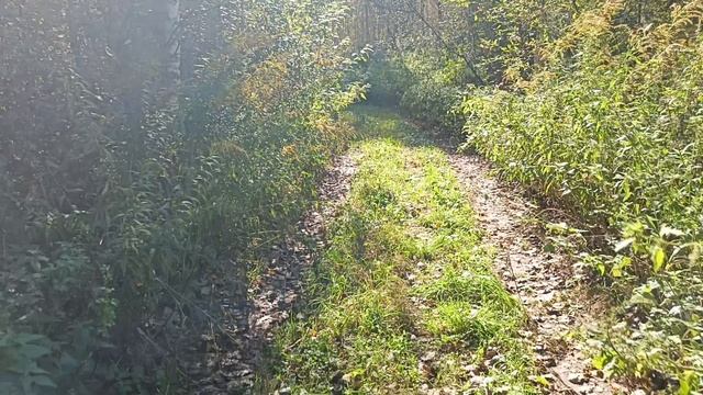 1000104414.mp4 смотреть онлайн