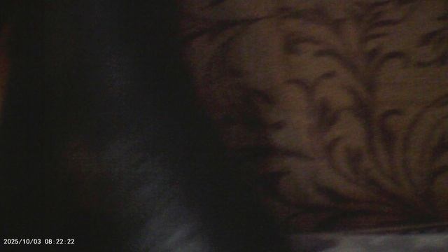 лосины смотреть онлайн