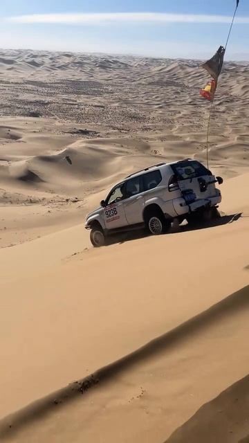 Desert Drive смотреть онлайн