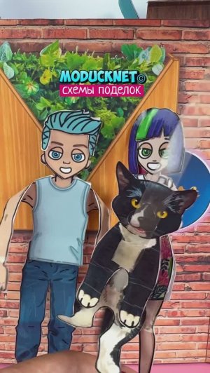 🐈 Чей кот Тёмка⁉️по схемам #модакнет #moducknet
