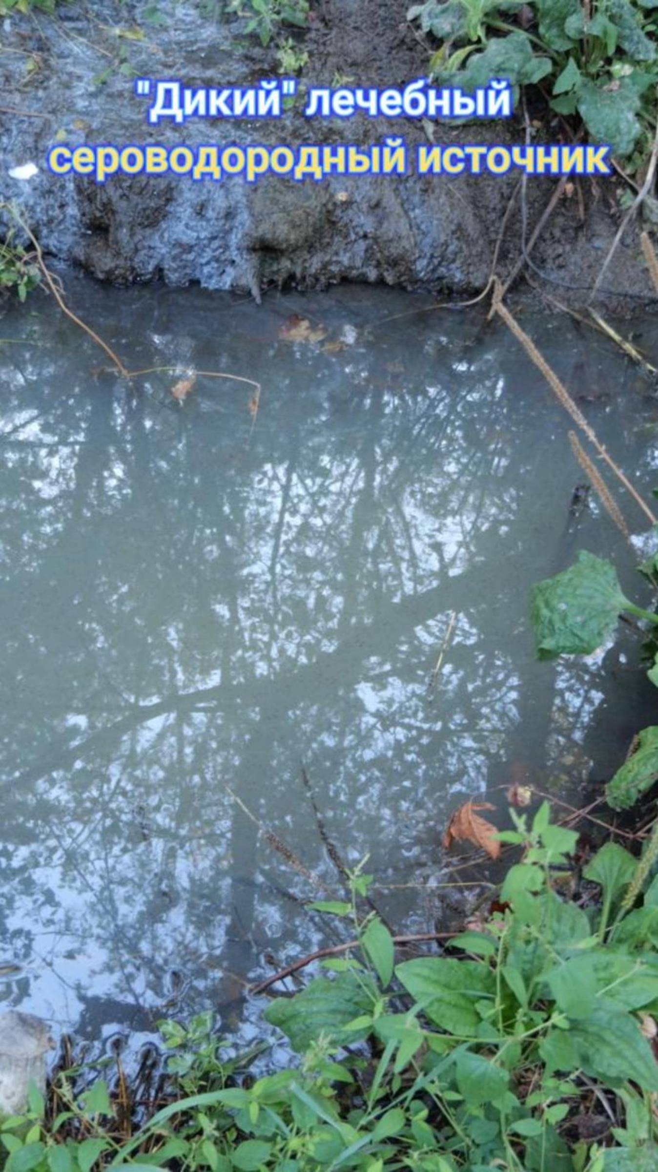 "Дикий" лечебный сероводородный источник в Краснодарском крае возле села Киевское