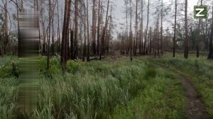 СВО  Серебрянский лес на кадрах бойцы ВСУ.