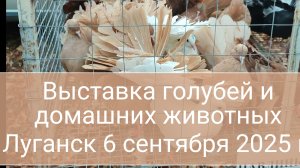 Выставка голубей и домашних животных Луганск 6 сентября 2025 г 🕊️🦚🦜🐔