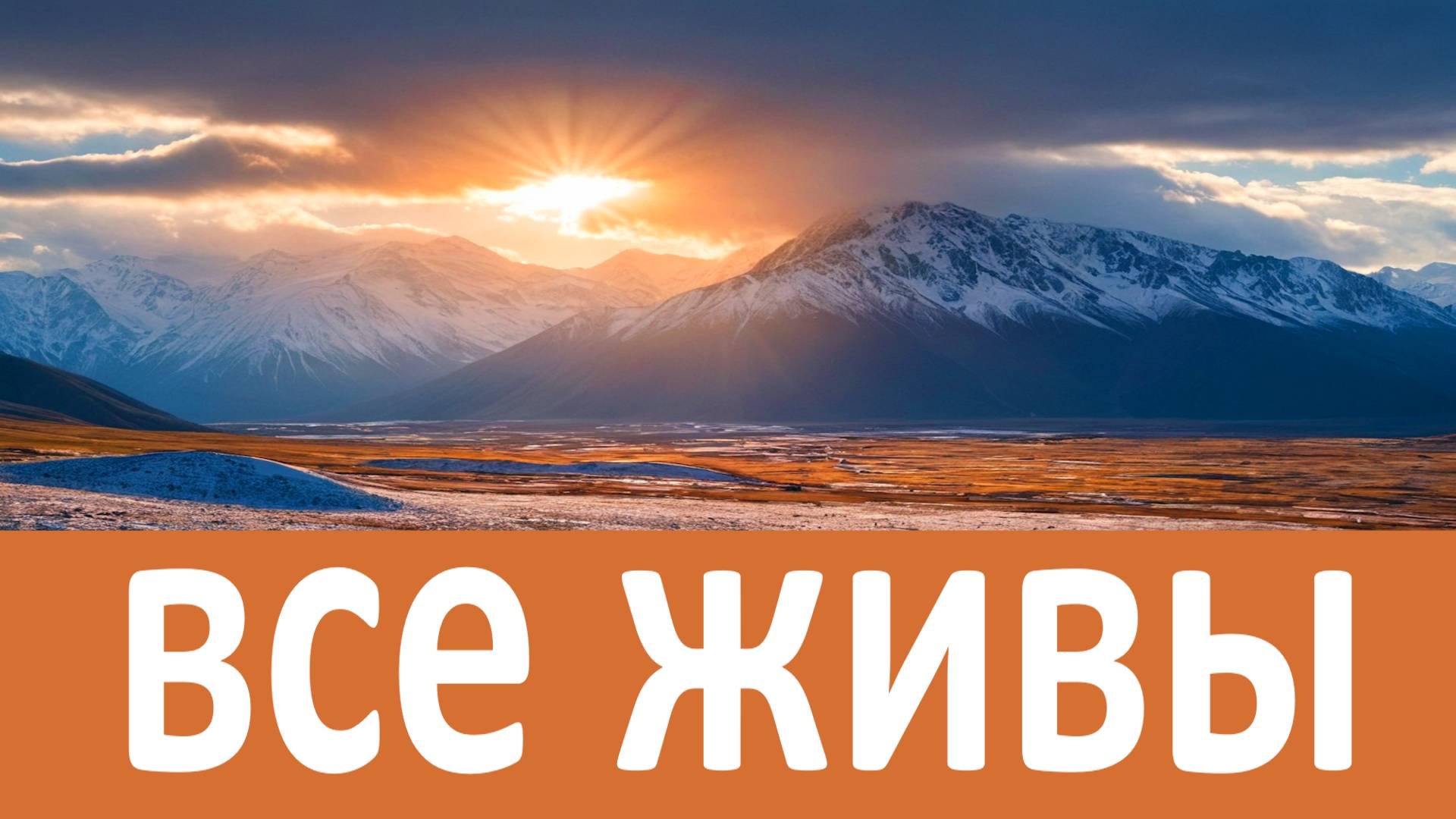 У Бога нет мертвых, у Него все живы. Молитва об умерших без покаяния - Иоанн Крестьянкин смотреть онлайн