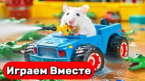 ВМЕСТЕ С ХОМЯКОМ ПРОХОДИМ СЛОЖНЫЕ ЛАБИРИНТЫ СЛОВУШКАМИ И МОНСТРАМИ 🐹 ВИДЕО ДЛЯ ДЕТЕЙ