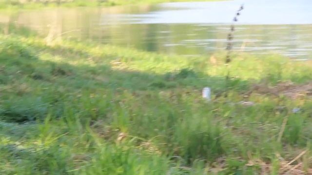 Мой Эдган Матадор смотреть онлайн