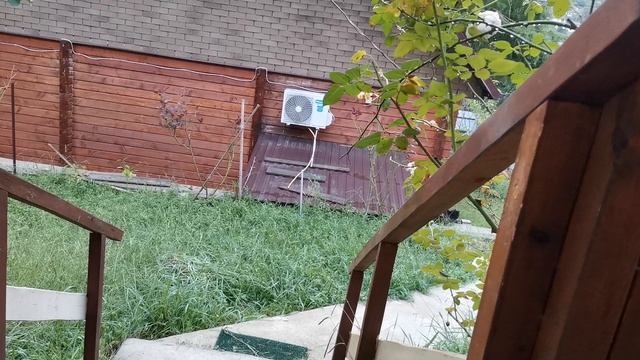 СОЧИ ГОРНОЕ ЛОО УТРО 08.09.2025 смотреть онлайн