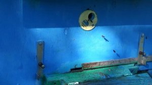 ОСЕННИЙ СЛЁТ ПЧЁЛ И ПРОБЛЕМЫ С ЧИПИРОВАНИЕМ